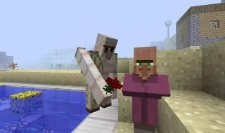 熊猫的知识资料大全